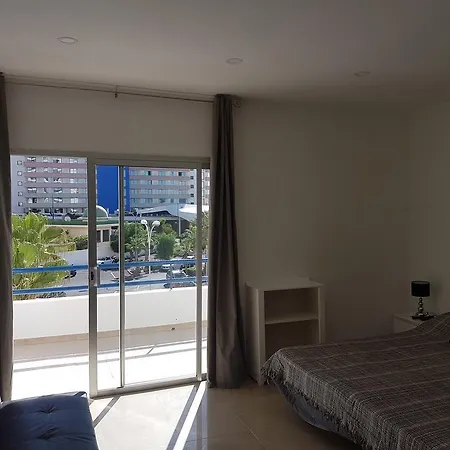 Estudio Paraiso Del Sur